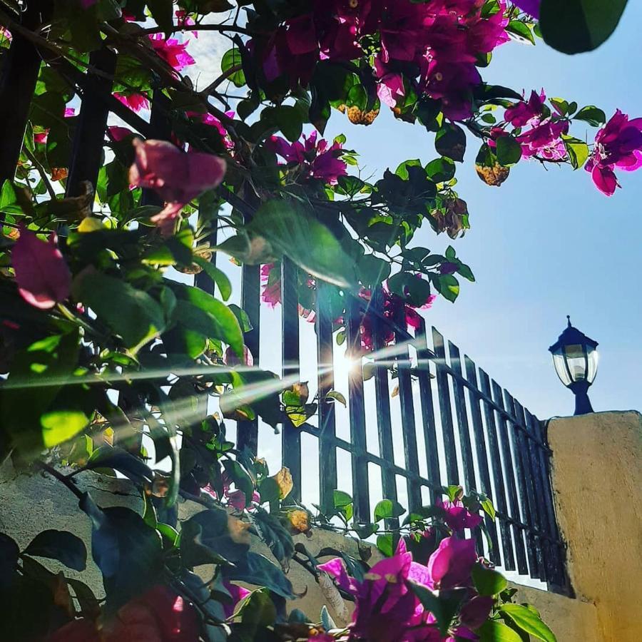 邦劳La Casa Di Beatrice住宿加早餐旅馆 外观 照片